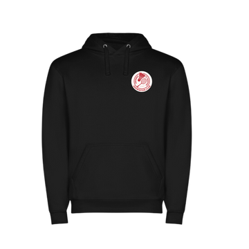 ST MARTINS Pullover Hoodie